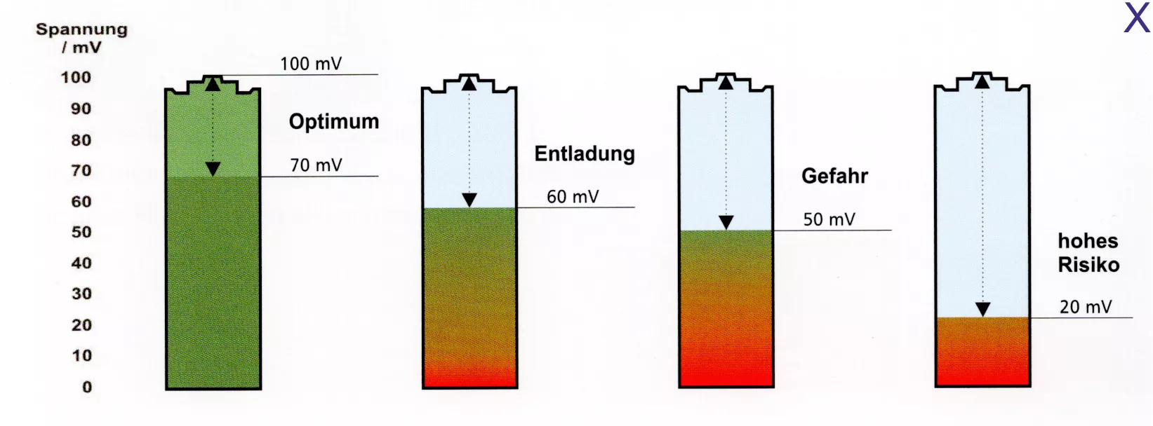 PEMF Einfluss